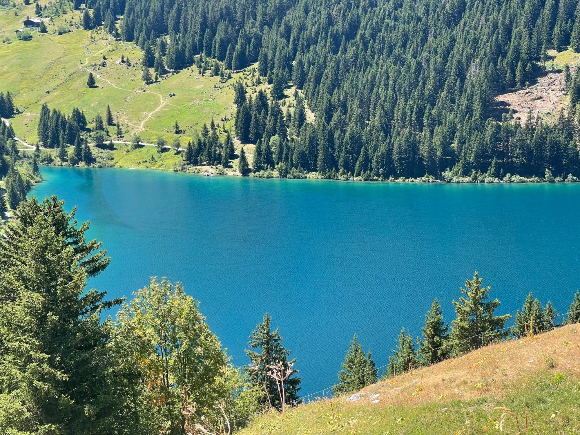 Les Loups Blancs Apartment Корчевел Екстериор снимка